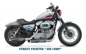 Del Swanson Harley Concept