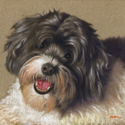 Del Swanson Gizmo Portrait